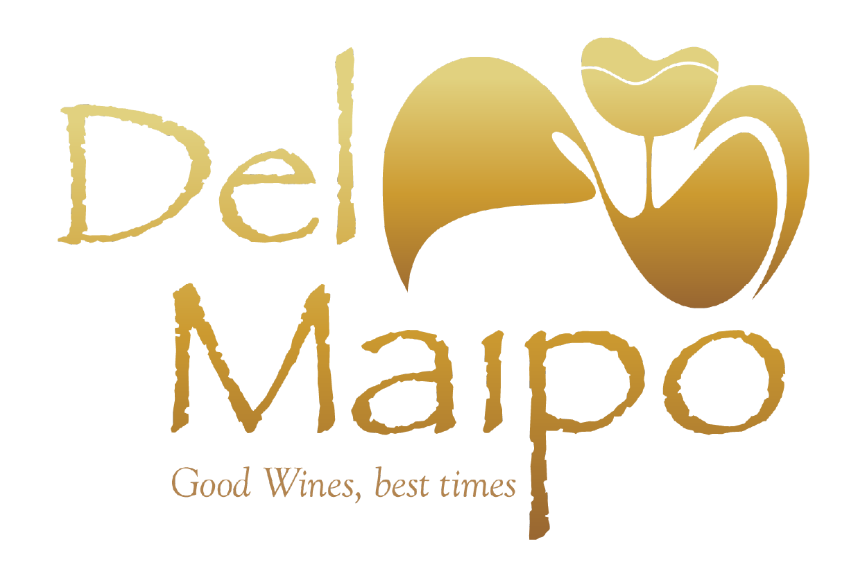LOGOS 300x200px_DEL MAIPO